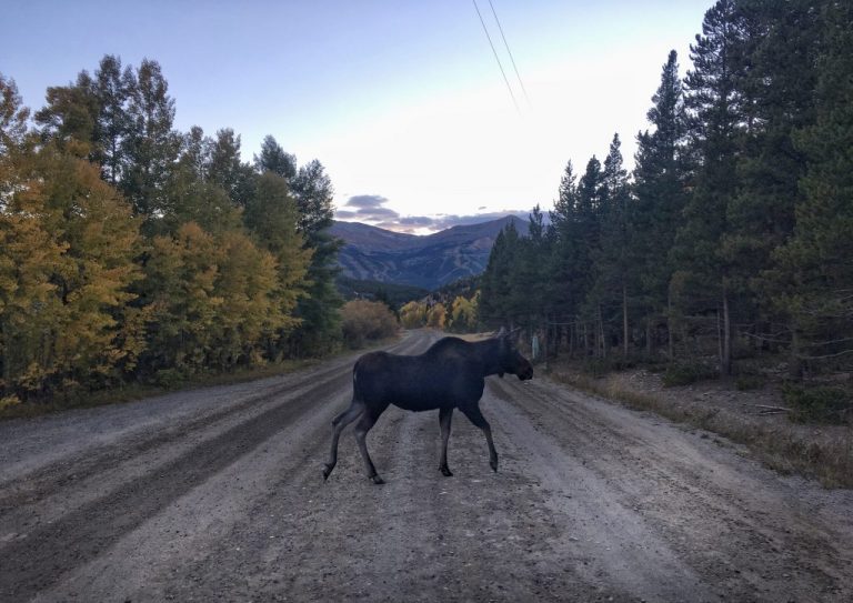 Breckenridge Film Festival is Here Summit Express