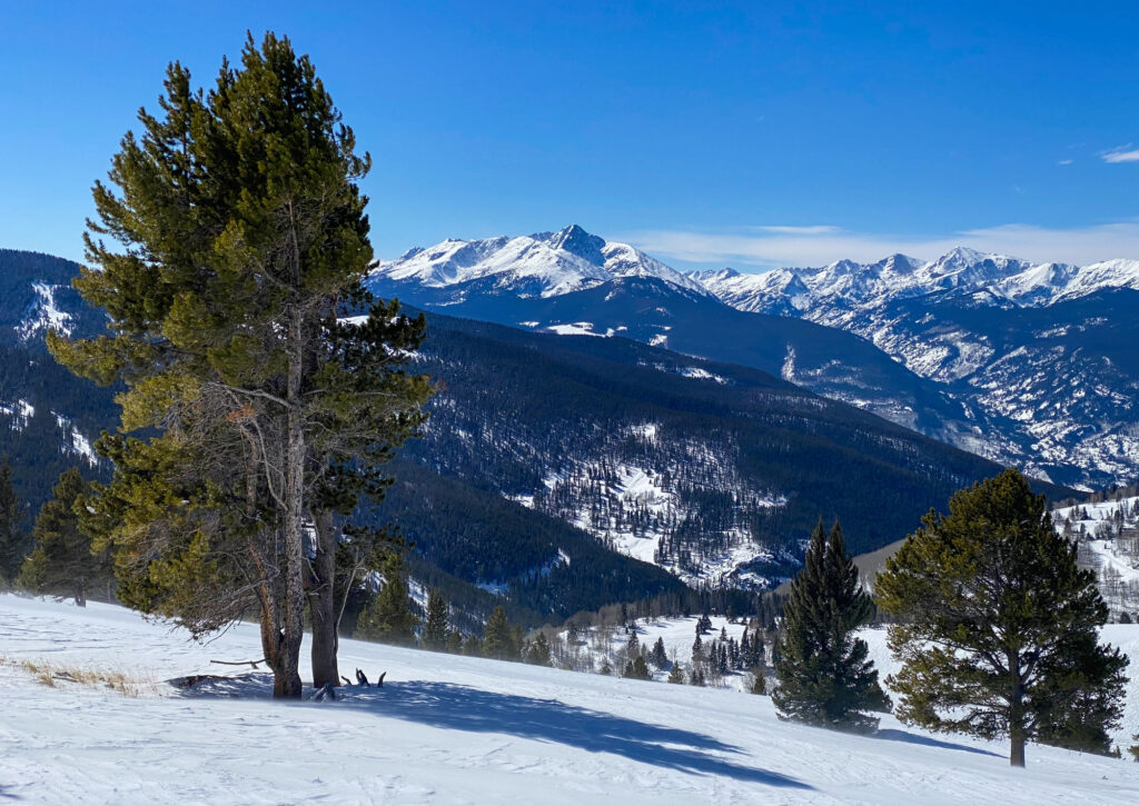 Beaver Creek