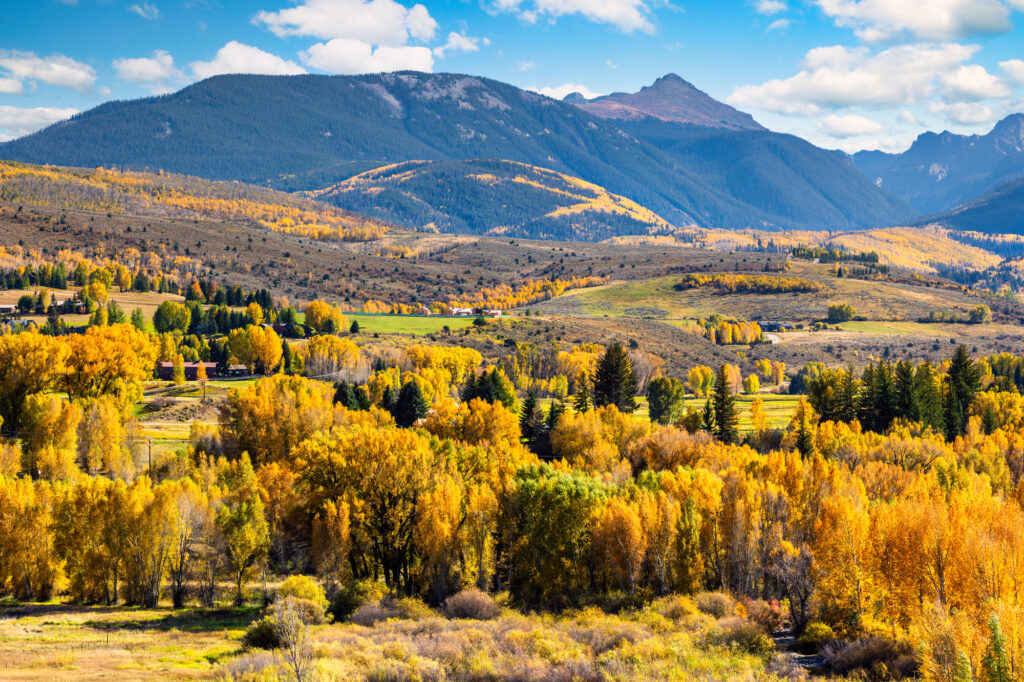Edwards CO Fall Foliage